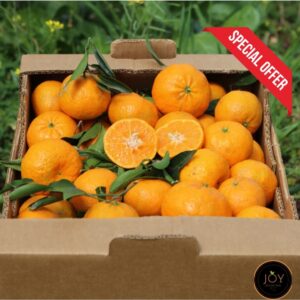 Clementine Siciliane (Senza Semi)